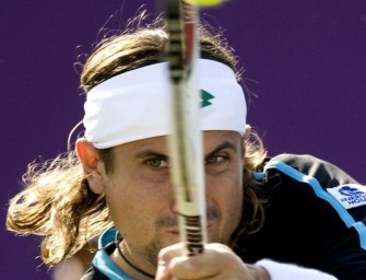 Ferrer triumphiert erstmals auf Rasen