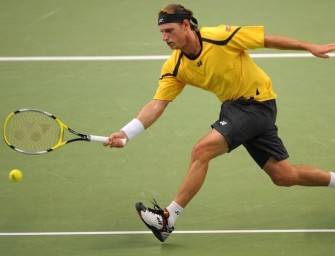 Nalbandian und Söderling im Finale von Stockholm