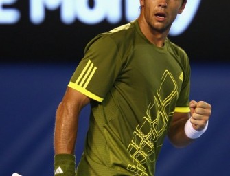 Verdasco wieder auf Finalkurs