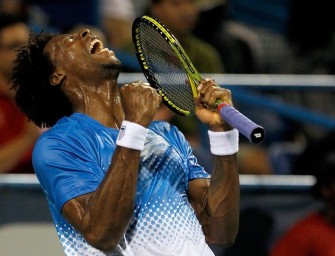 Monfils und Stepanek im Finale von Washington