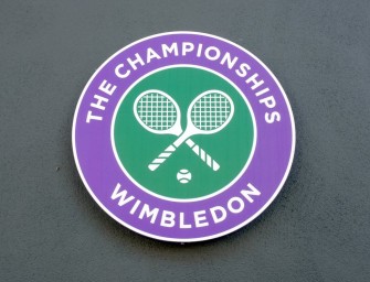Wimbledon-Falke Rufus ist zurück
