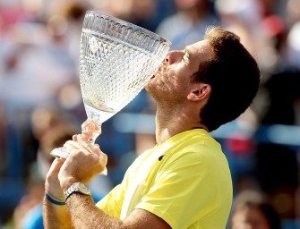 Haas-Bezwinger del Potro gewinnt in Washington