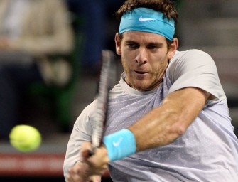 Del Potro gewinnt ATP-Turnier in Tokio