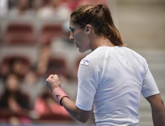 Fed Cup-Finale: Wundertüte Petkovic