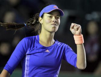 Ana Ivanovic trennt sich von Trainer