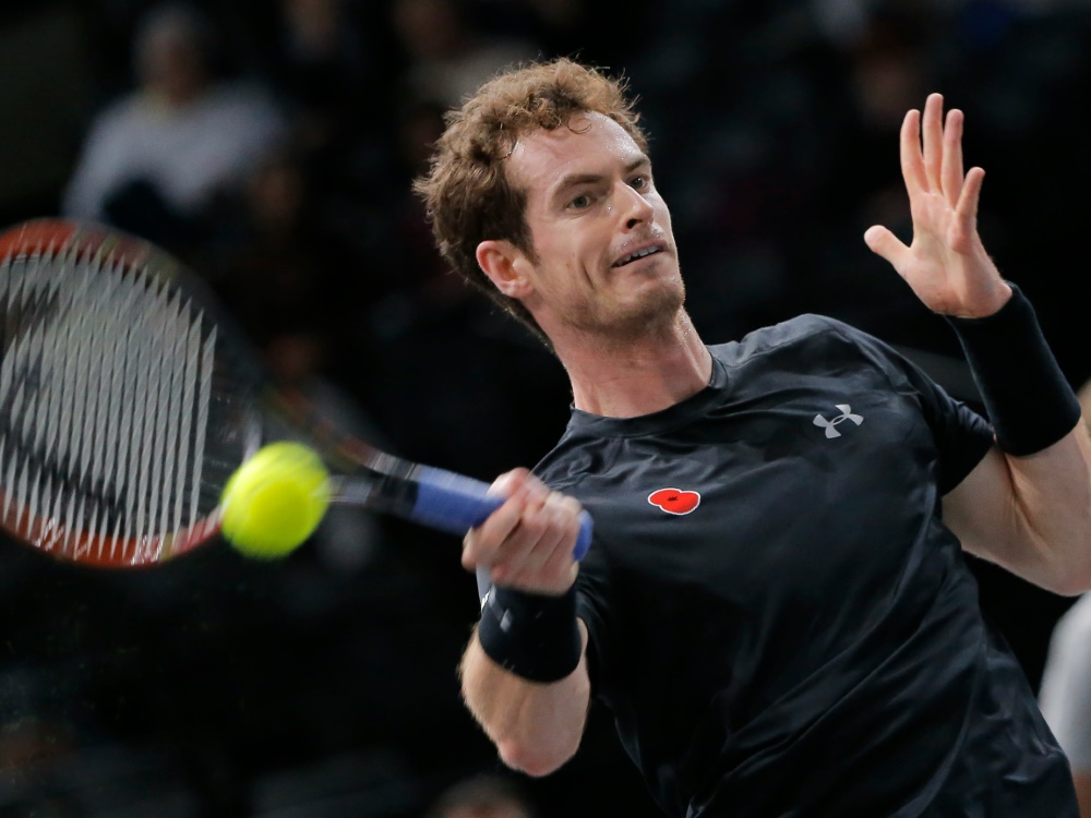 Andy Murray steht im Finale von Paris