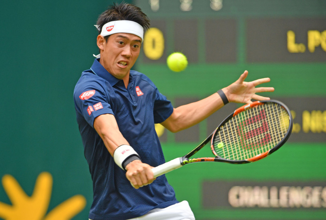 ATP World Tour 500 Gerry Weber Open