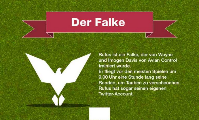 Wimbledon 13 - Der Falke