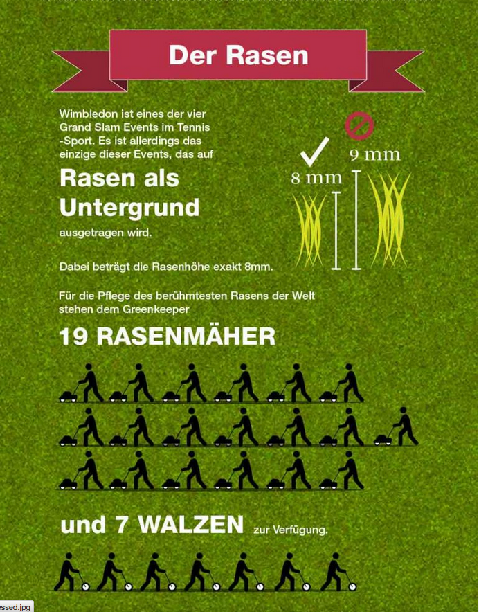 Wimbledon 4 - Der Rasen