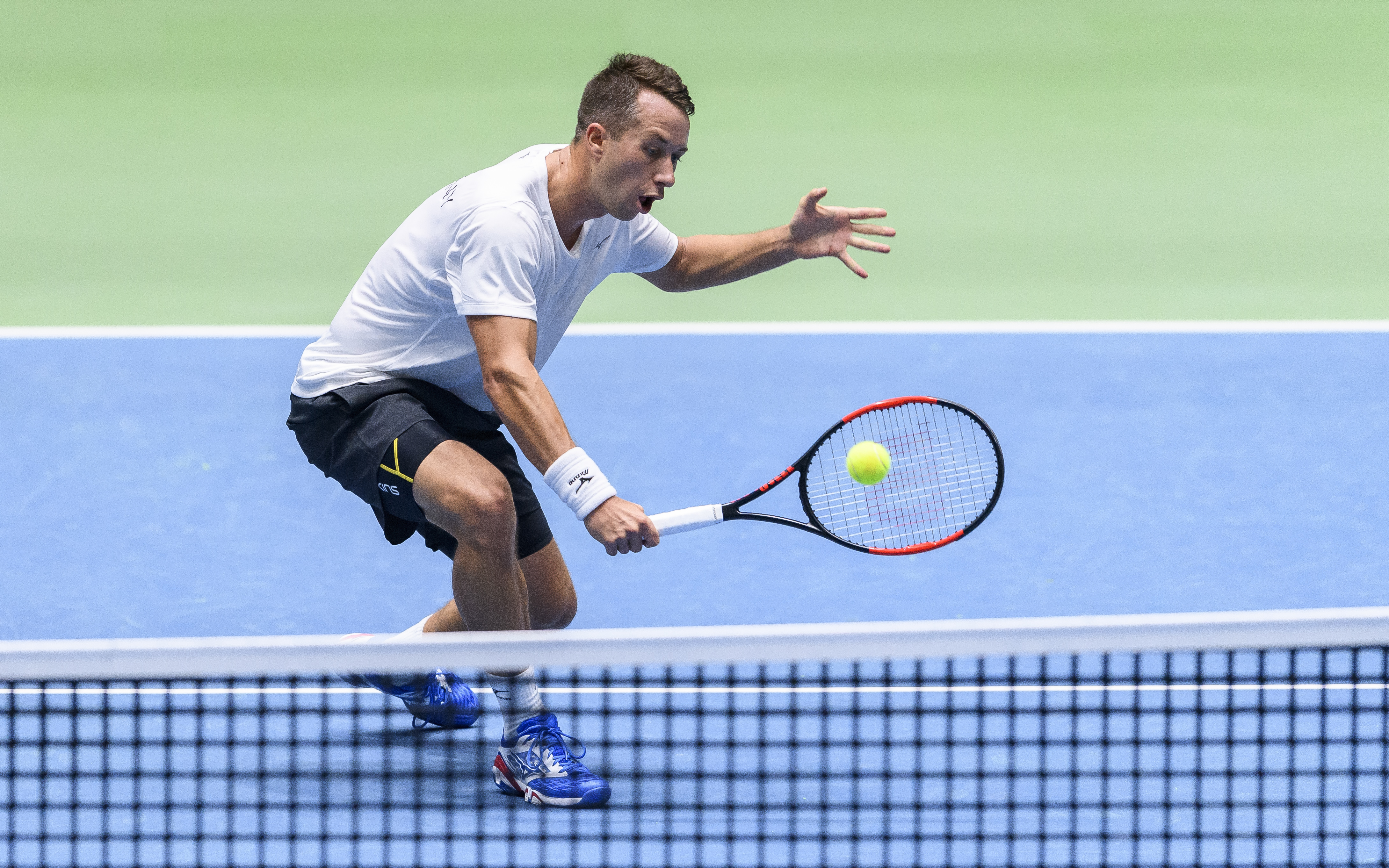 Kohlschreiber in Rotterdam