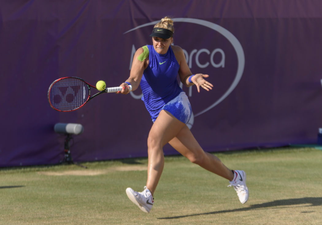 georges-lisicki-adm_830