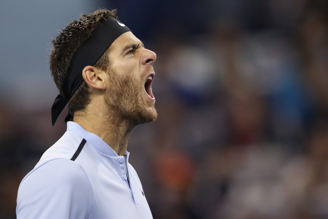 Juan Martin del Potro
