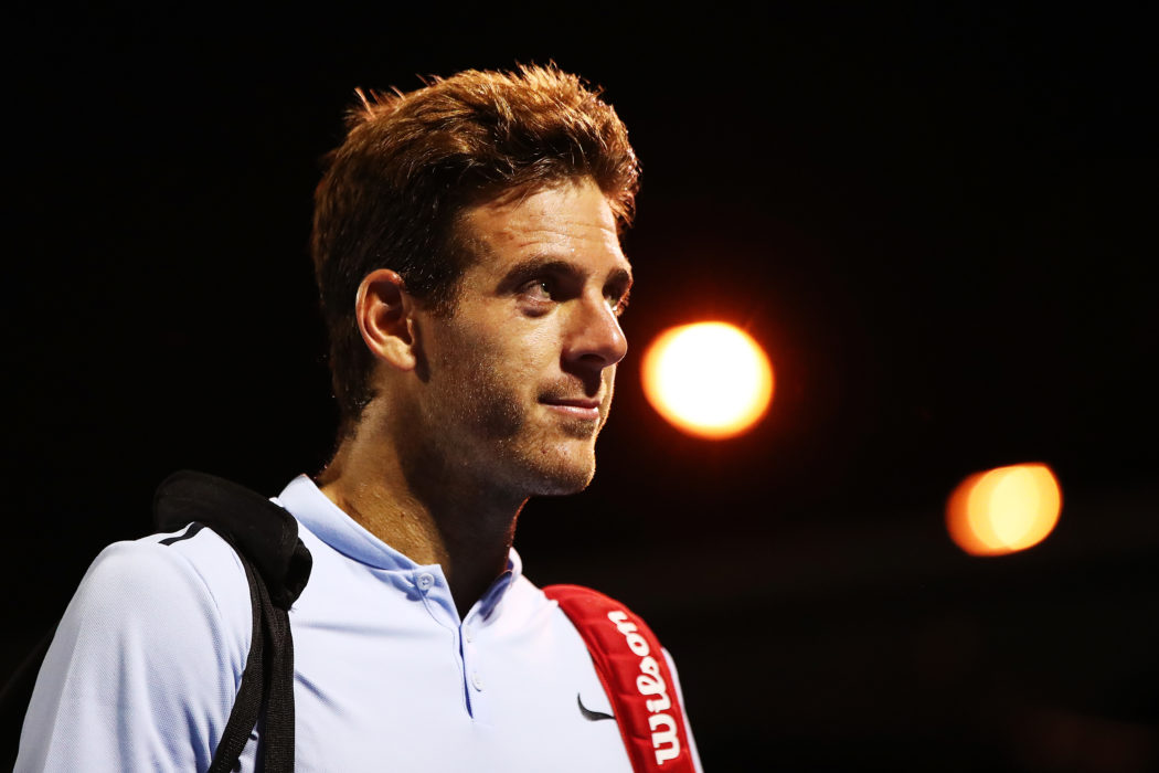 Juan Martin del Potro