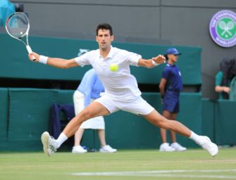 Auch Djokovic im Viertelfinale von Wimbledon