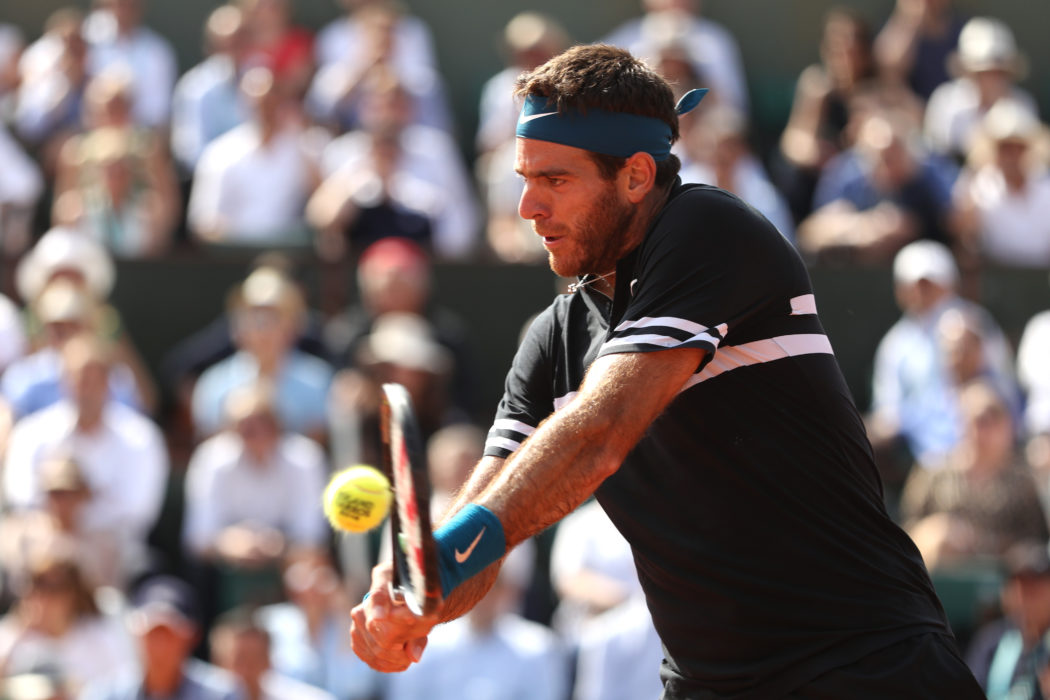Juan Martin del Potro