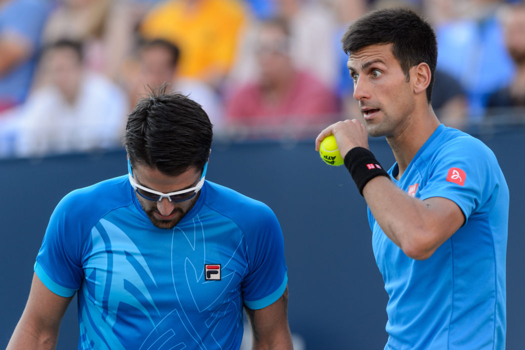 Janko Tipsarevic, Novak Djokovic