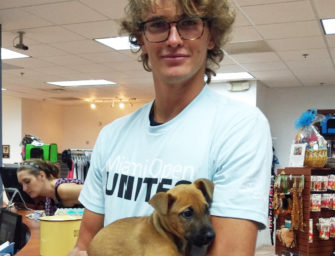 Niedlicher Nachwuchs: Zverev adoptiert Hundewelpen in Miami