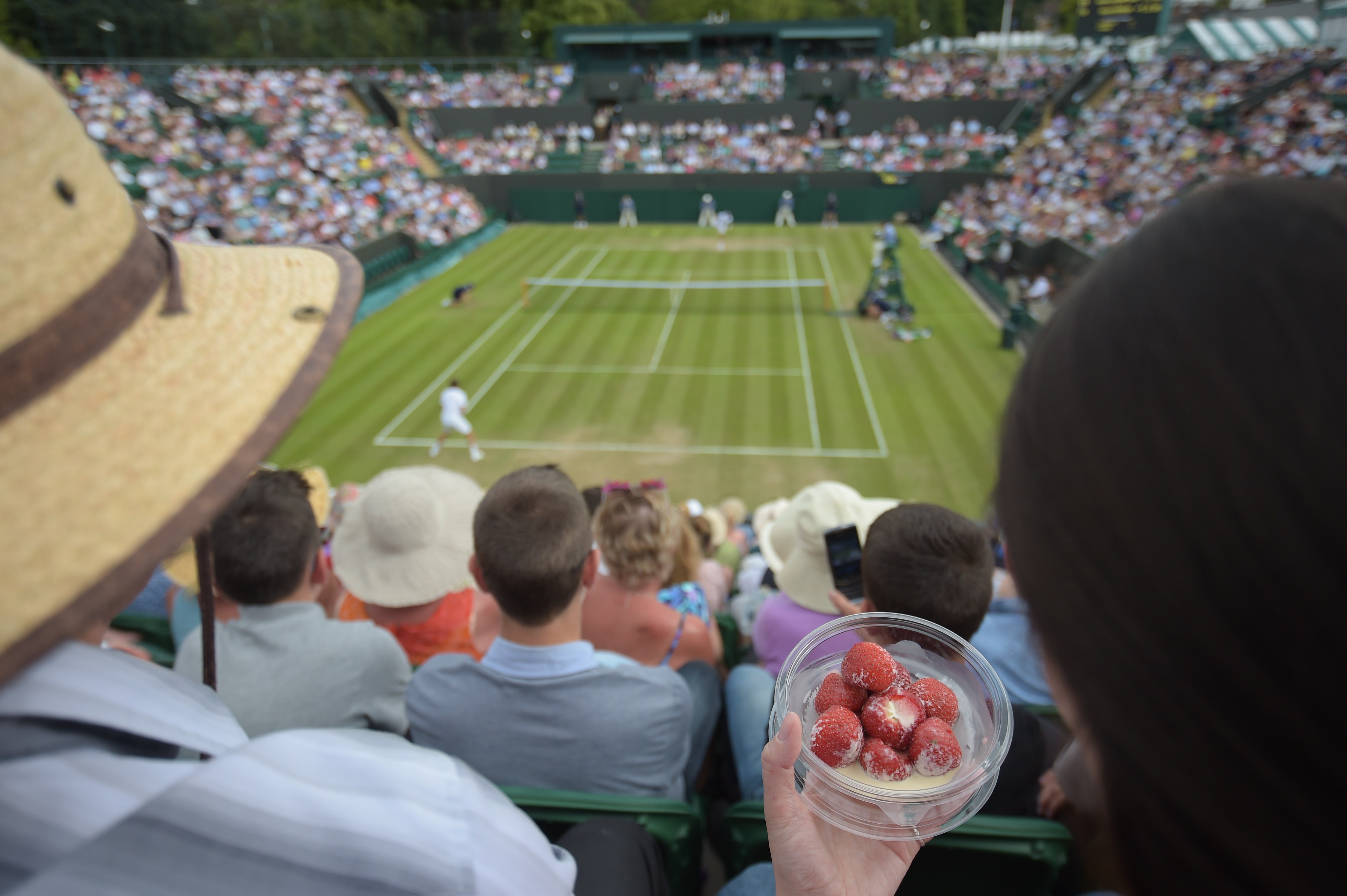 Alle Informationen zu Wimbledon 2019 Favoriten, Preisgeld, TV und Streams 