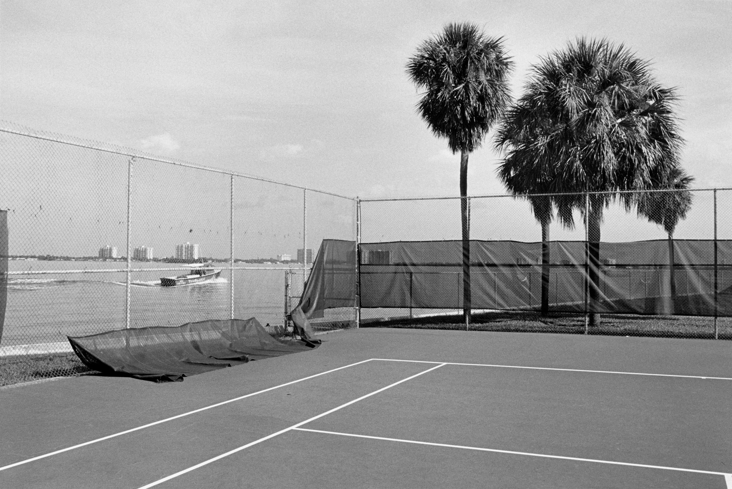 tennis fan