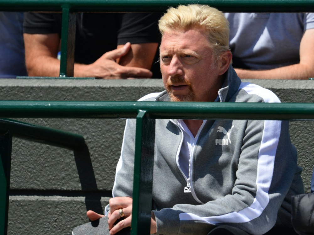 Boris Becker lobt das deutsche Davis-Cup-Team
