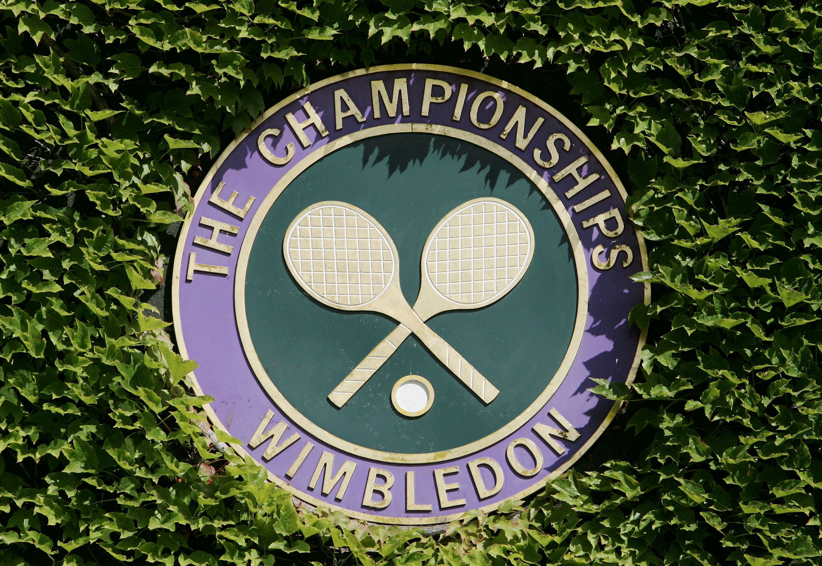 Wimbledon 2022 Alle Infos zum Turnier, TV-Übertragung and Preisgeld