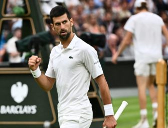 Wimbledon: Djokovic zieht ins Finale ein
