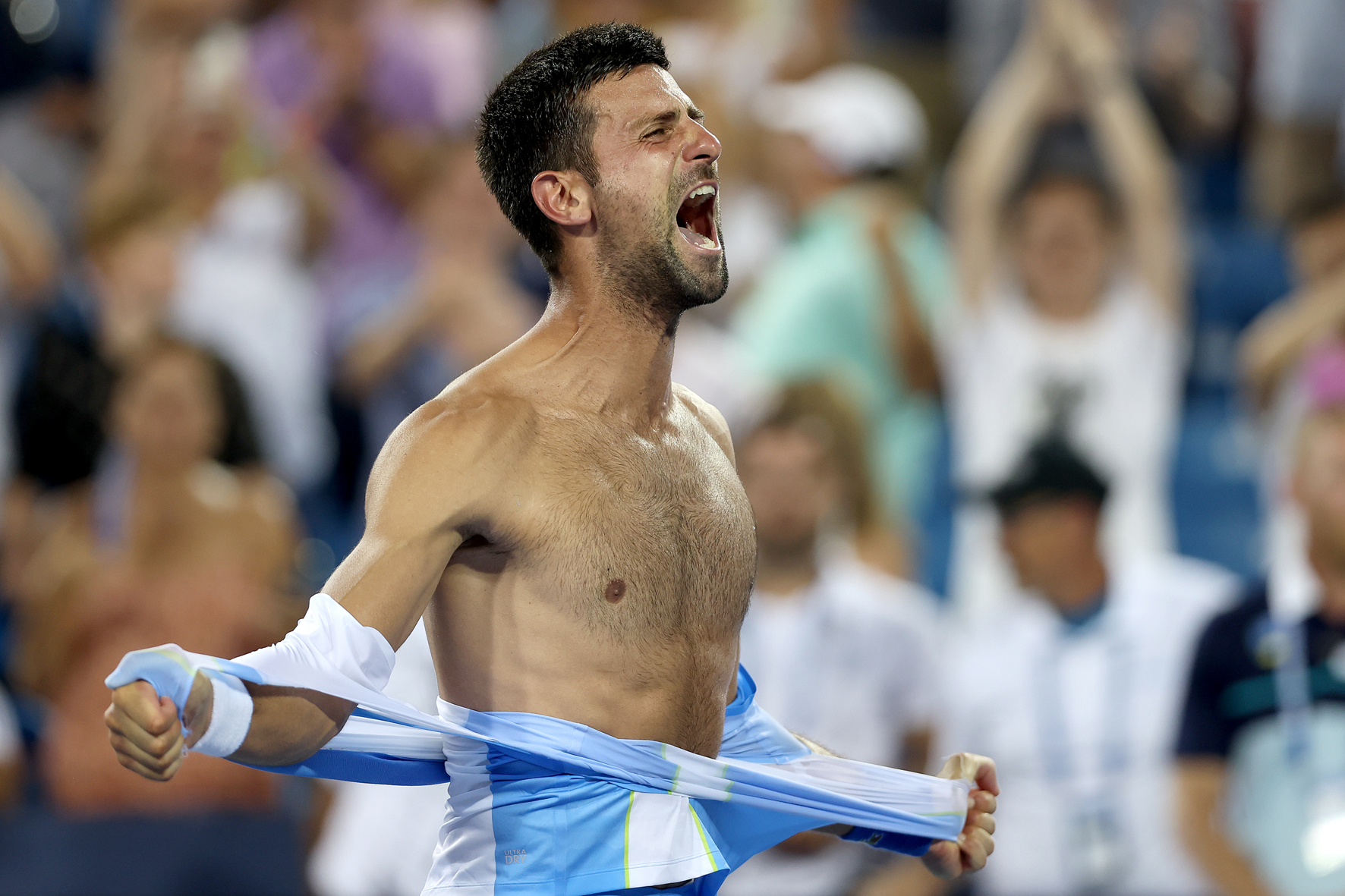 Djokovic, Top-Verdiener