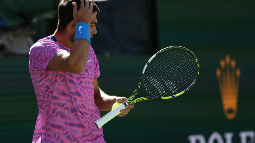 Die Bienen attackierten Carlos Alcaraz