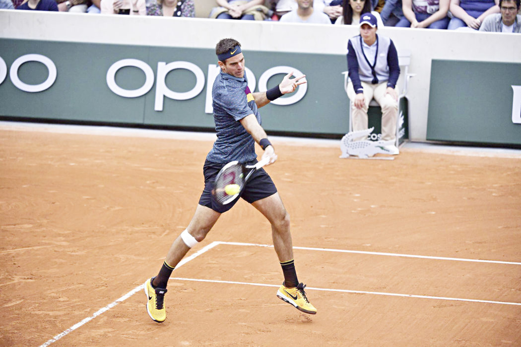 Juan Martin del Potro