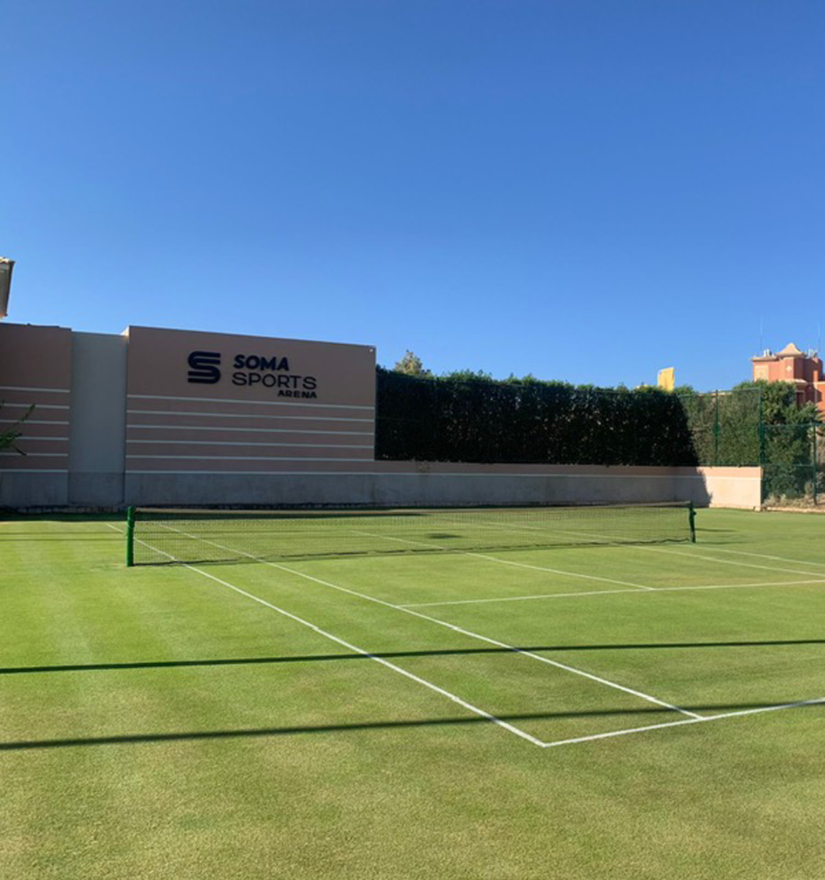 Safwat S-Tennis-Academy